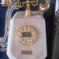 تلفن کنار سالنی