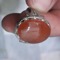 پیدا کردم