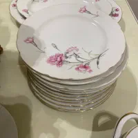 ظروف چینی گل میخکی|ظروف سرو و پذیرایی|مشهد, هنرستان|دیوار