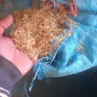 کاه گندم|لوازم جانبی حیوانات|نهاوند, |دیوار