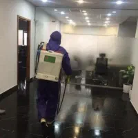 سمپاشی  حشرات