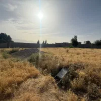 قطعه-زمین-باغ-تیون-تفیهان-بیدزرد-نشاط