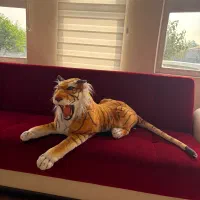 وسایل دکوری خانه