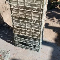 جعبه سفید