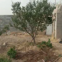 باغ-باغشهر