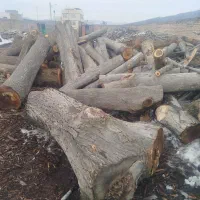 خرید و فروش چوب
