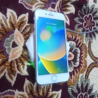 گوشی آیفون ۸ پلمپ هنوز باز نشده|موبایل|تهران, پامنار|دیوار