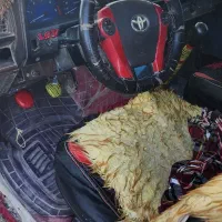 تویوتا هایلوکس تک کابین، مدل ۲۰۰۳|خودرو سواری و وانت|زابل, |دیوار