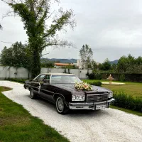 اجاره ماشین کلاسیک برای عروسی،فرمالیته و ...|خودرو اجارهای|نوشهر, |دیوار