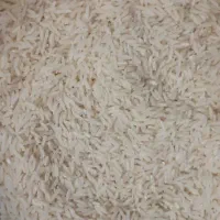 برنج هاشمی محصول امسال|خوردنی و آشامیدنی|رشت, علی آباد|دیوار