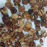 گردو شیروان|خوردنی و آشامیدنی|مشهد, مشکینی (شهرک غرب)|دیوار