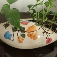 گلدون گل پتوس