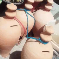 کوزه ولانه مرغ عشق