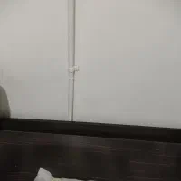 سرویس تخت یکنفره|فعالیت داوطلبانه تحقیقاتی|کرج, حیدرآباد|دیوار