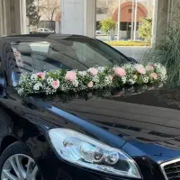 گل آرایی دسته گل عروس و ماشین عروس و باکس گل و ...|گل و گیاه طبیعی|شیراز, جانبازان|دیوار