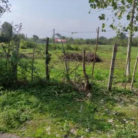 زمین طلاهرگوراب گیلان