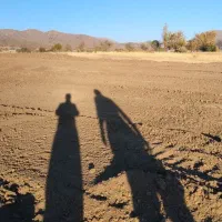 فروش زمین|فروش زمین و ملک کلنگی|مریوان, |دیوار