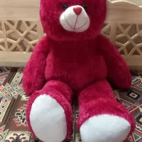 خرس شاسخین