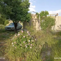 فروش یک قطعه باغ|فروش دفتر صنعتی، کشاورزی، تجاری|خمین, |دیوار