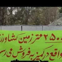 زمین کشاورزی ۲۵۰۰۰ متری واقع در کمیز رودان