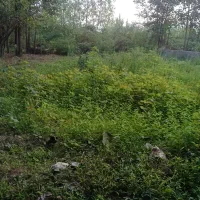 ۳۴۱متر کامل مسکونی روستا اشکلن لولمان سند تک برگ|فروش زمین و ملک کلنگی|فومن, |دیوار