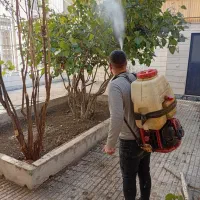 باغبانی چمن کاری تیلرزنی درختکاری  هرس کاری گلکاری