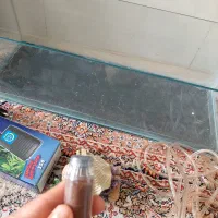 آکواریوم شیشه خم شرکتی با همه وسایلش|ماهی|نسیمشهر, |دیوار