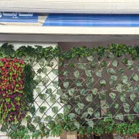 چمن مصنوعی گرین وال|گل مصنوعی|سنندج, |دیوار