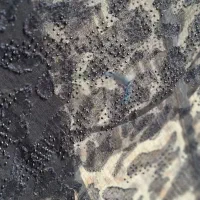 چادر|لباس|دهدشت, |دیوار