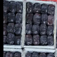 پنج عدد مادر کارتن خرما
