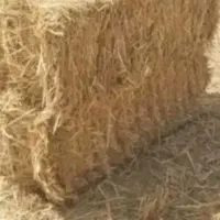 کولش برای دامداری
