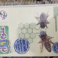 علوم نهم خیلی سبز