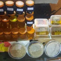 فروش عسل طبیعی،رب انار،شیره انگور،شیره خرما|خوردنی و آشامیدنی|قروه, |دیوار