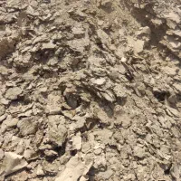 فروش کود مرغ گوشتی  مستقیم از مرغداری