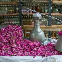 تور زیارتی وسیاحتی