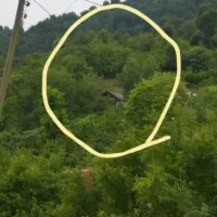 اجاره ویلا جنگلی در بهترین نقطه ماسال