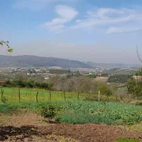 09359956716