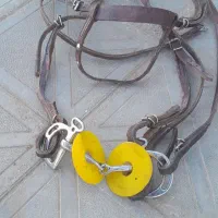 وسایل اسب سواری