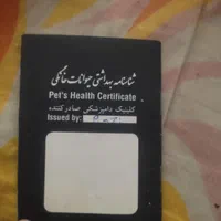واگذاری فوری|سگ|اصفهان, روشن‌دشت|دیوار