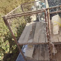 قفس کبوتر|لوازم جانبی حیوانات|نیشابور, فردوسی جنوبی|دیوار