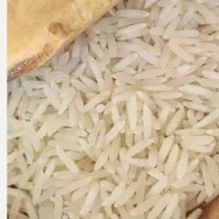 برنج طارم روشن فجر