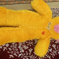 تعدادی عروسک|اسباب‌بازی بچه|قم, چهل درخت‎|دیوار