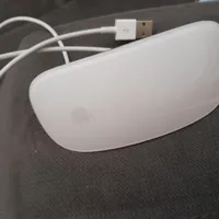 Mouse Mac. ماوس دستگاه مک|قطعات و لوازم جانبی رایانه|مشهد, دانشگاه فردوسی|دیوار