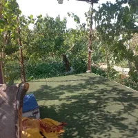 باغ ویلا آخر هفته پنج شنبه و جمعه درخواست در هفته|اجارهٔ کوتاهمدت ویلا و باغ|شاهرود, |دیوار