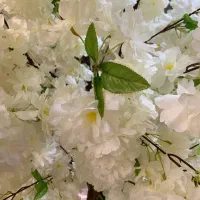 درختچه شکـوفه هلو|گل مصنوعی|تهران, شوش (باغ آذری)|دیوار