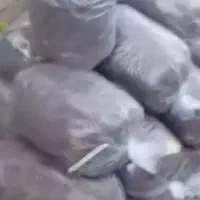 خاک غنی برای گلدان