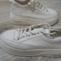 دو جفت کفش و صندل|کیف، کفش، کمربند|باغستان, |دیوار