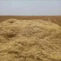 کا.