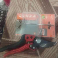 قیچی|ابزارآلات|سلماس, |دیوار