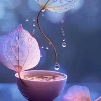 کلاس خصوصی و نیمه خصوصی انگلیسی از صفر مطلق